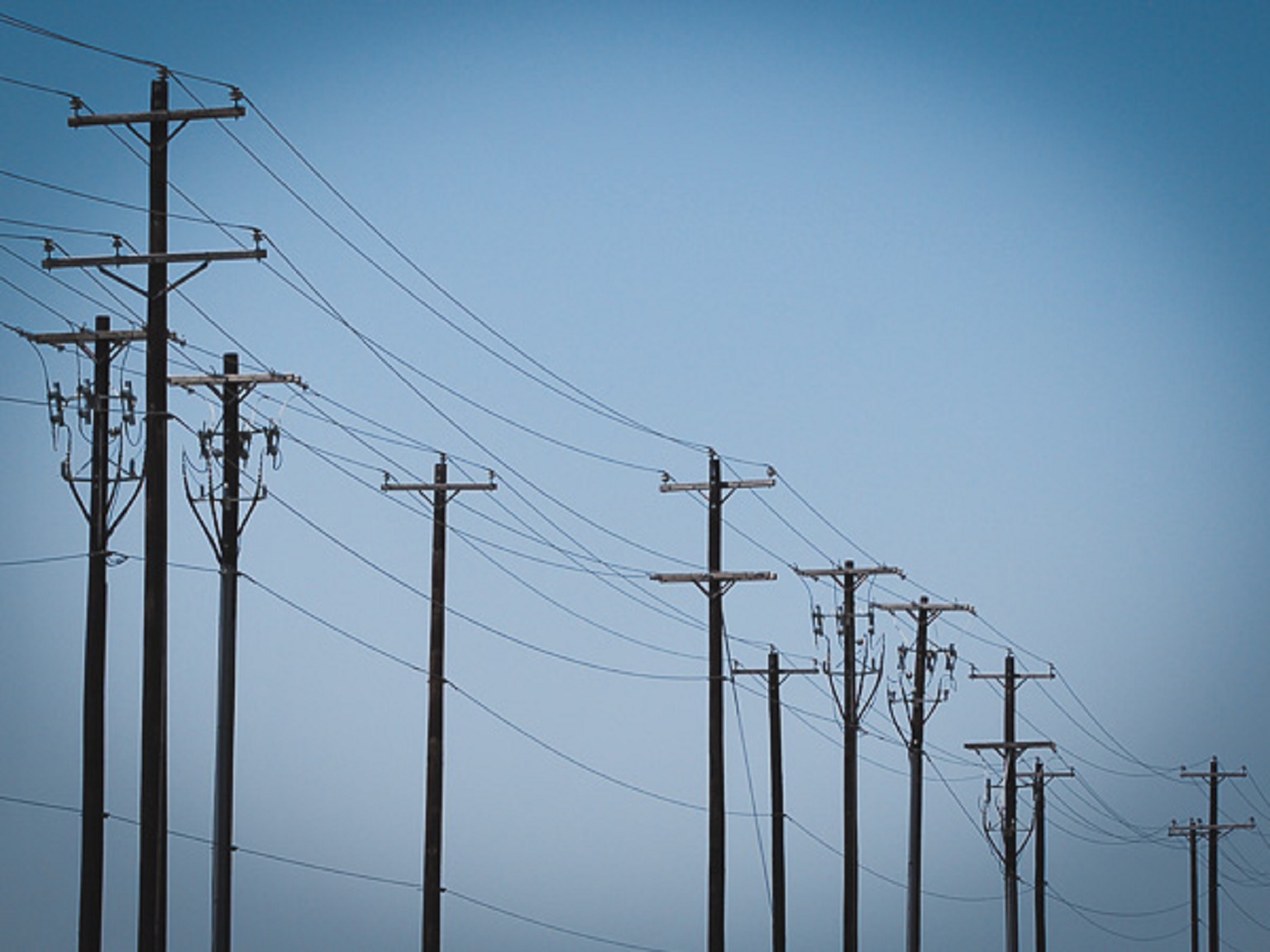 Distribution Line
